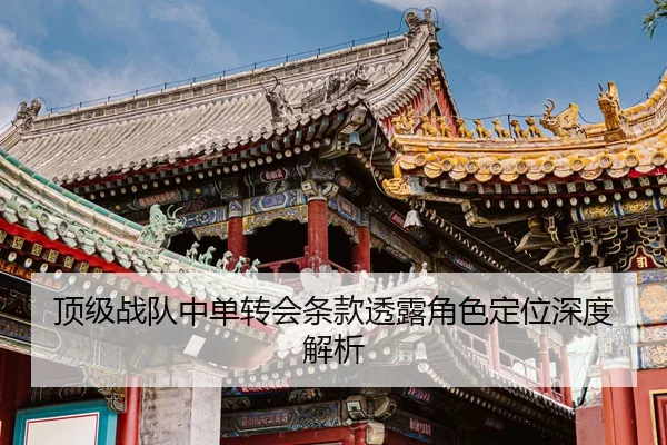 顶级战队中单转会条款透露角色定位深度解析